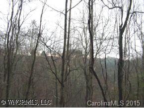 9999 Meadows Town Road Marshall, NC 28753 - Photo 2 of 5 Gallery Image 2