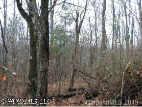 9999 Meadows Town Road Marshall, NC 28753 - Photo 3 of 5 Gallery Image 3