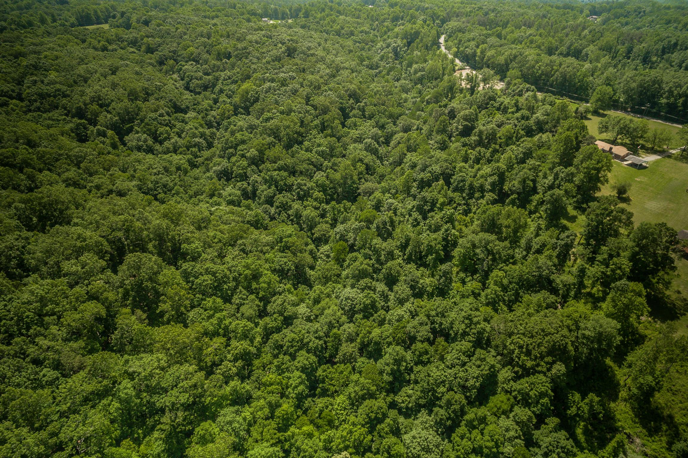 5114 Ridge Hill Road Joelton, TN 37080 - Photo 5 of 8 logging road leads back to creek on back of property
