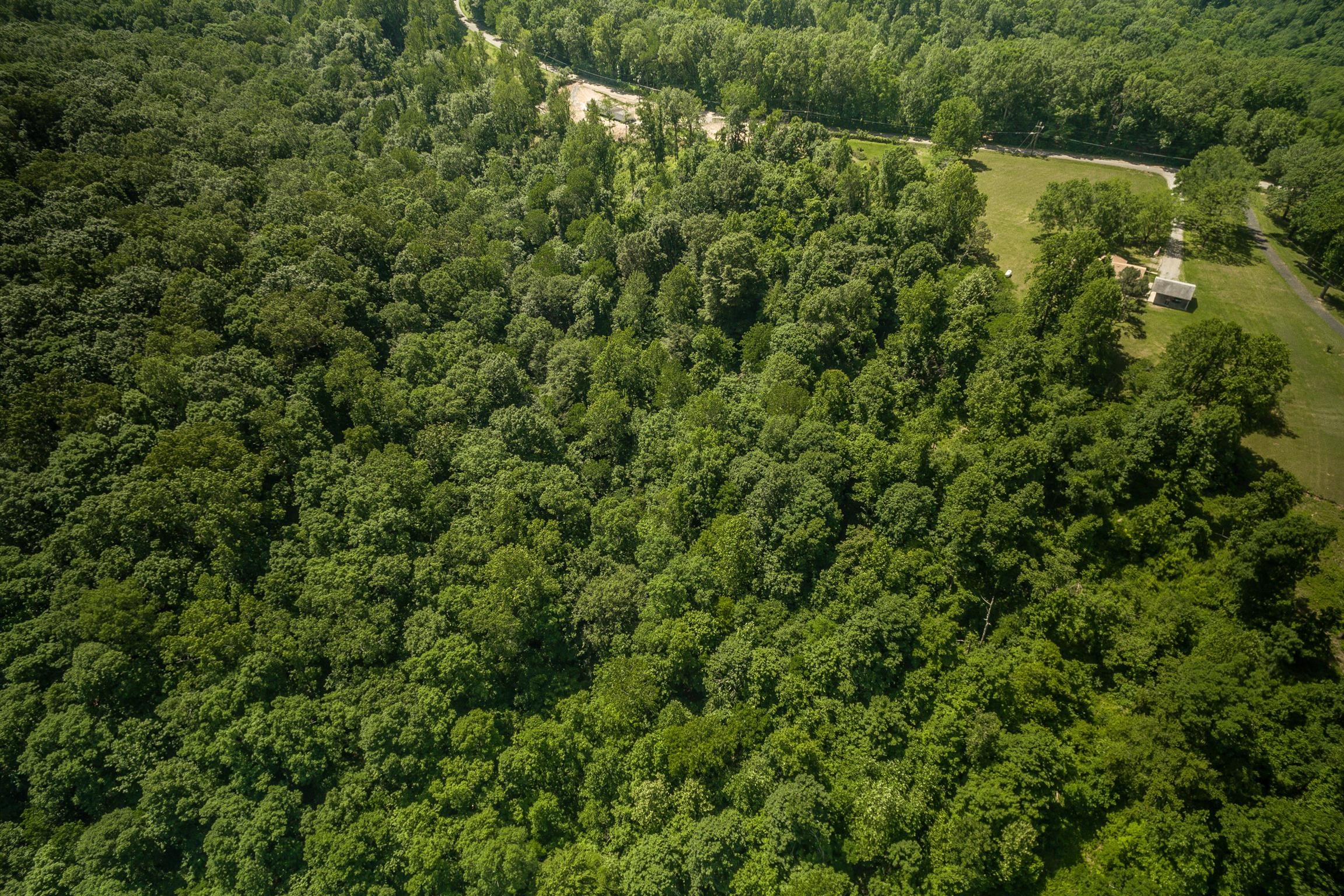 5114 Ridge Hill Road Joelton, TN 37080 - Photo 6 of 8 Gallery Image 6