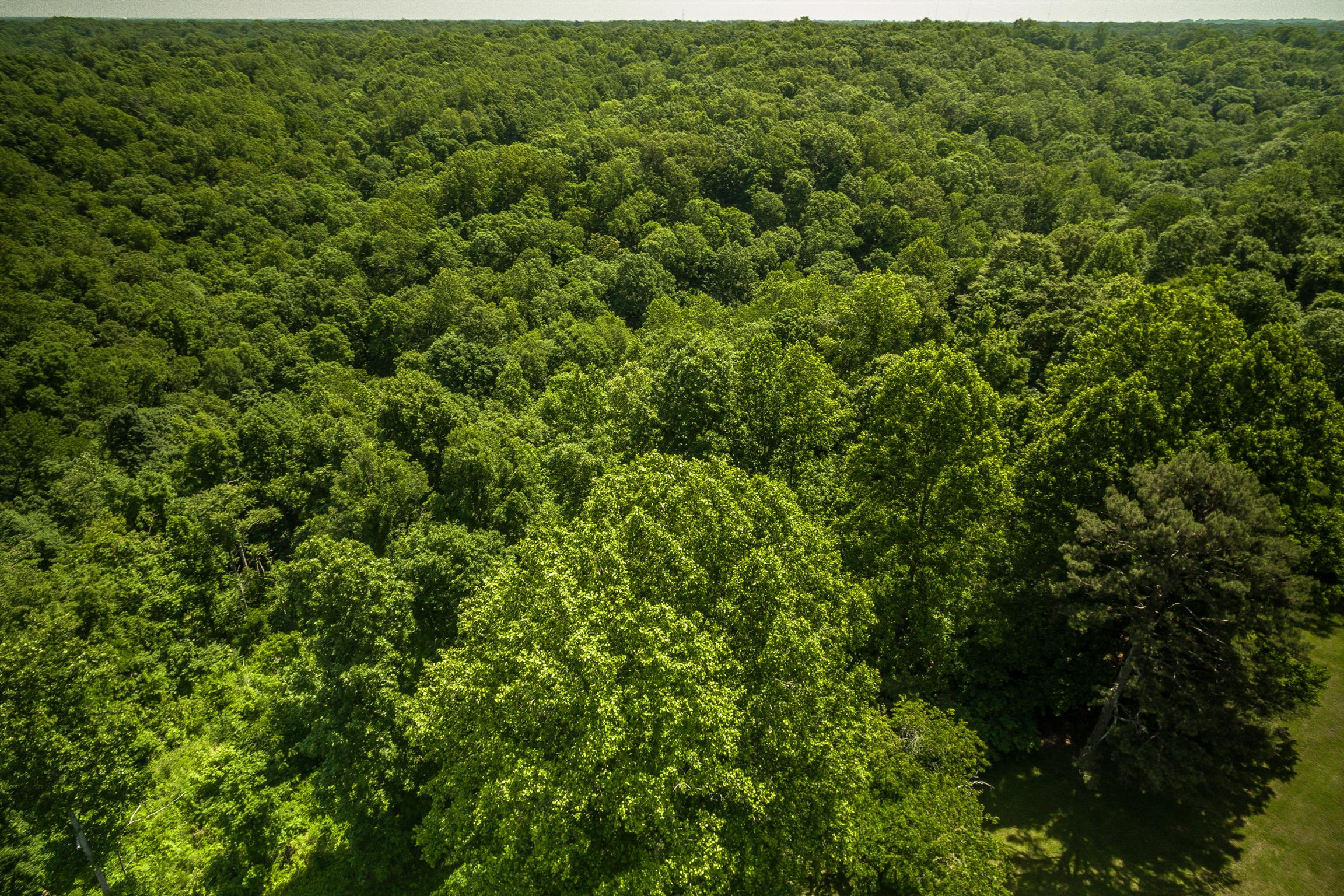 5114 Ridge Hill Road Joelton, TN 37080 - Photo 8 of 8 Gallery Image 8