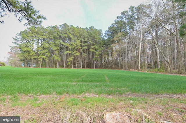 5035 Cornstack Road Marion Station, MD 21838 - Photo 14 of 36