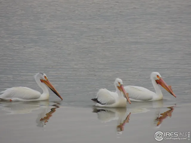 $985,000 | 5418 Nantucket Court, Loveland, CO 80537