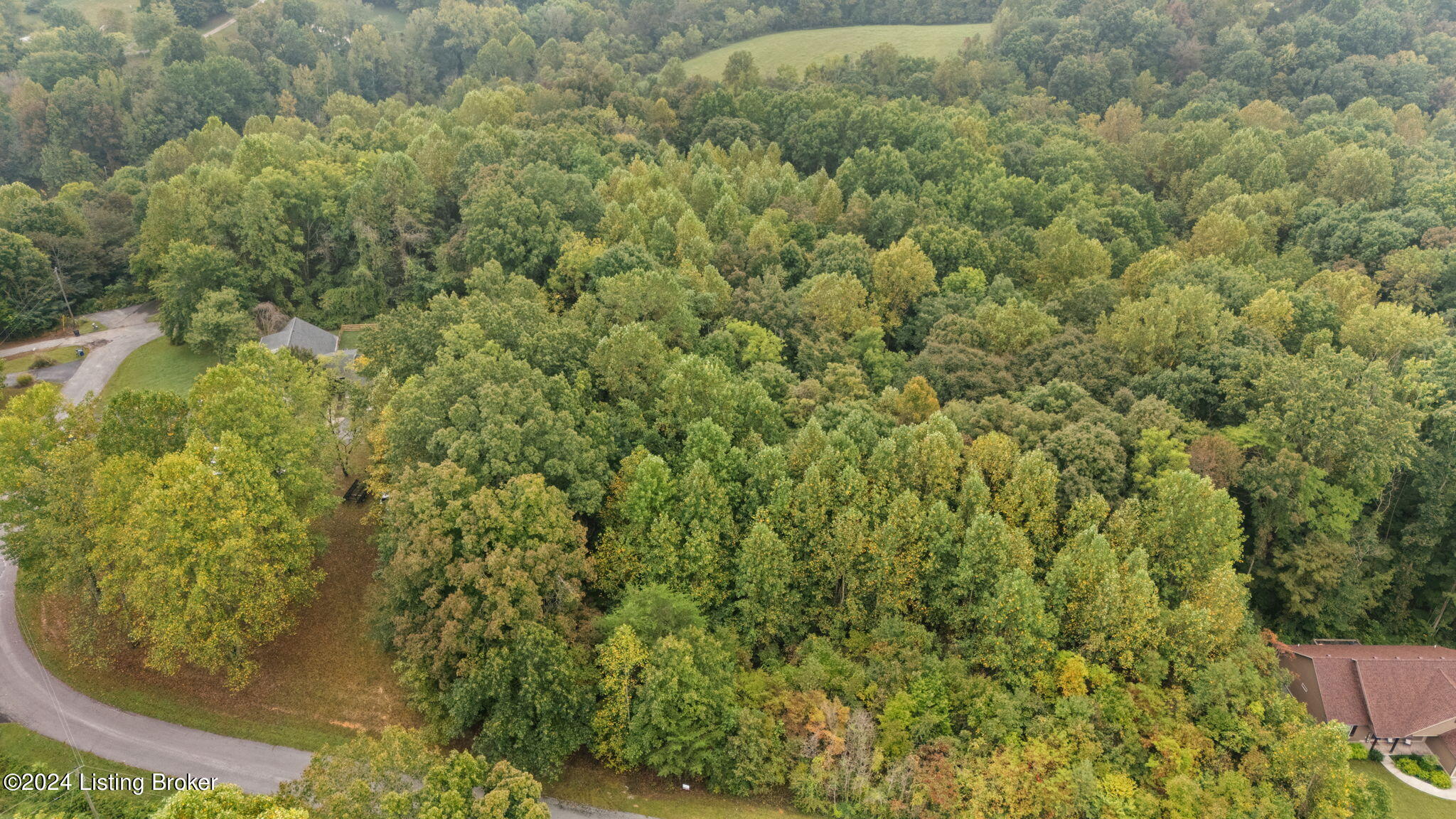 245 Hidden Cove Road Lucas, KY 42156 - Photo 3 of 26 3-web-or-mls-DJI_20240923090814_0008_D