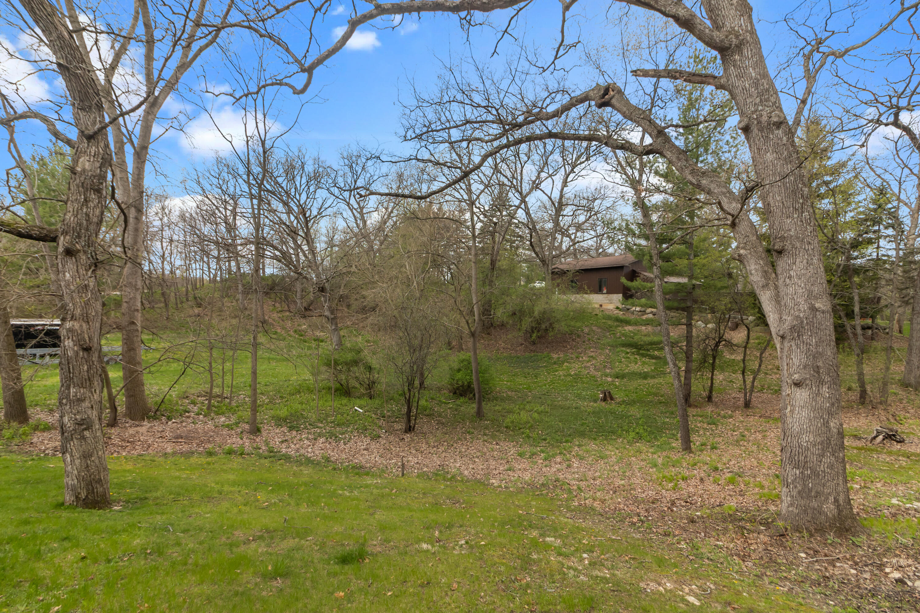 W5782 Ridge Road La Grange, WI 53121 - Photo 37 of 51 Back yard