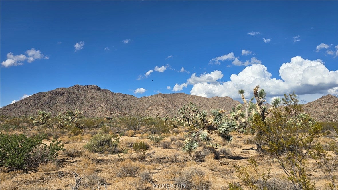 208-27-196d South Kinard Road Yucca, AZ 86438 - Photo 15 of 29 Gallery Image 15