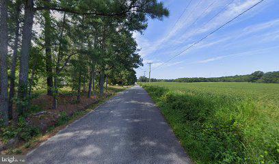 14146 Burwells Bay Road Smithfield, VA 23430 - Photo 4 of 6 a view of a yard with an trees