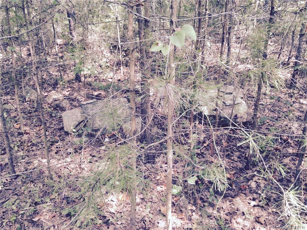0 Roberts Road Blacksburg, SC 29702 - Photo 5 of 5