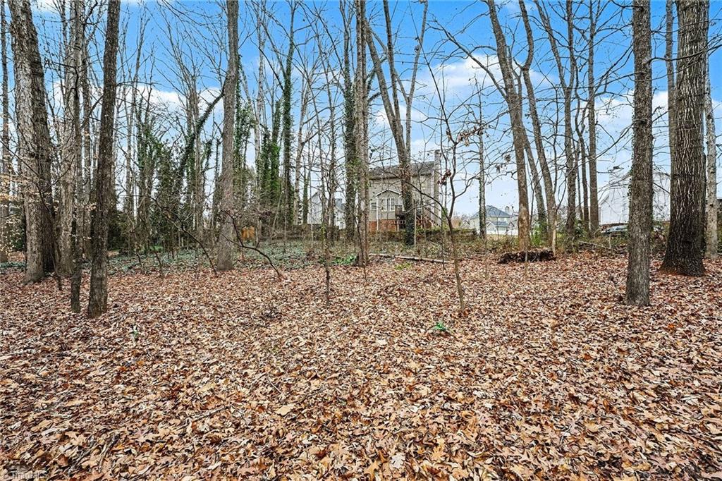 4413 Hunters Run Drive Clemmons, NC 27012 - Photo 46 of 47