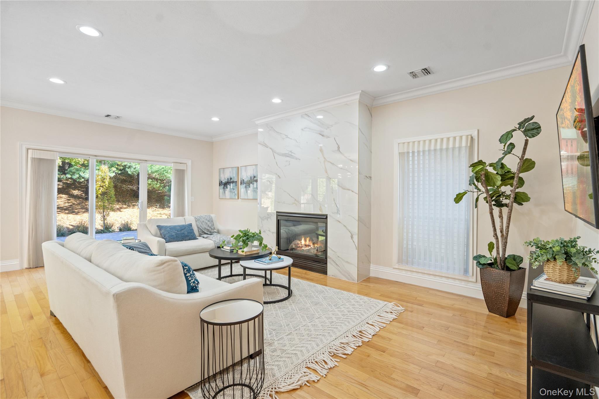 176 Sagamore Drive Plainview, NY 11803 - Photo 11 of 40 a living room with furniture a fireplace and a potted plant