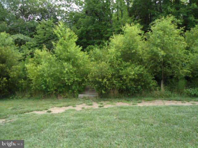Parcel 249 Old Bridge Road Ocean City, MD 21842 - Photo 2 of 3 Gallery Image 2