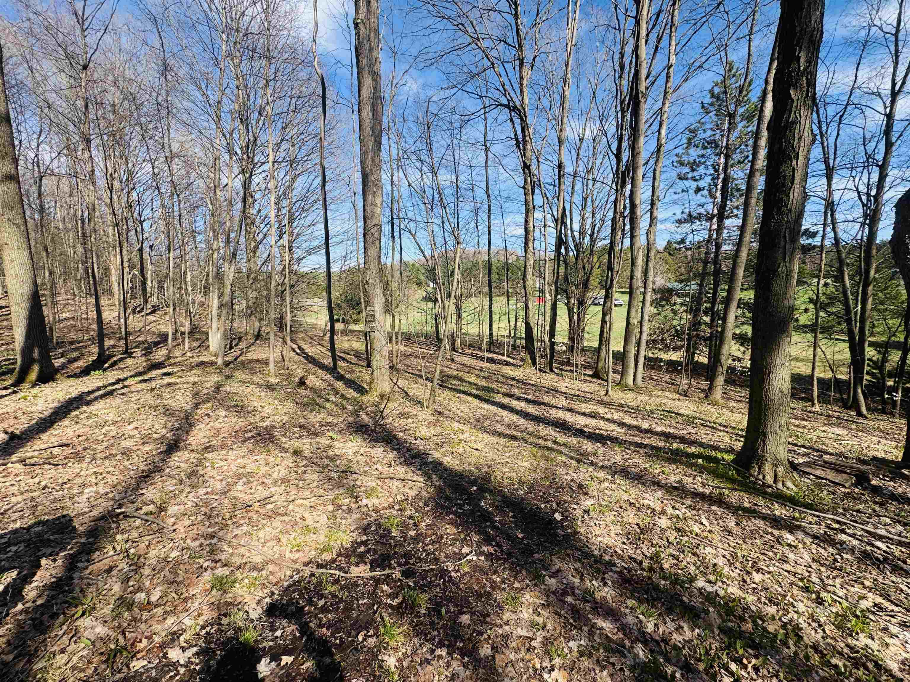 4340 South 7 1/2 Road Harrietta, MI 49638 - Photo 11 of 59