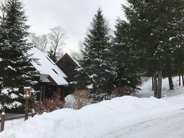 45 Hilltop Road, Unit 45 Winhall, VT 05340 - Photo 33 of 36