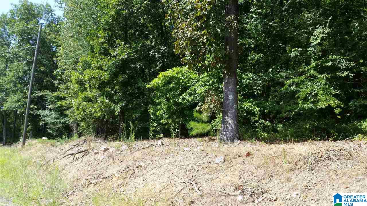1885 Brooks Lake Road Lincoln, AL 35096 - Photo 28 of 30