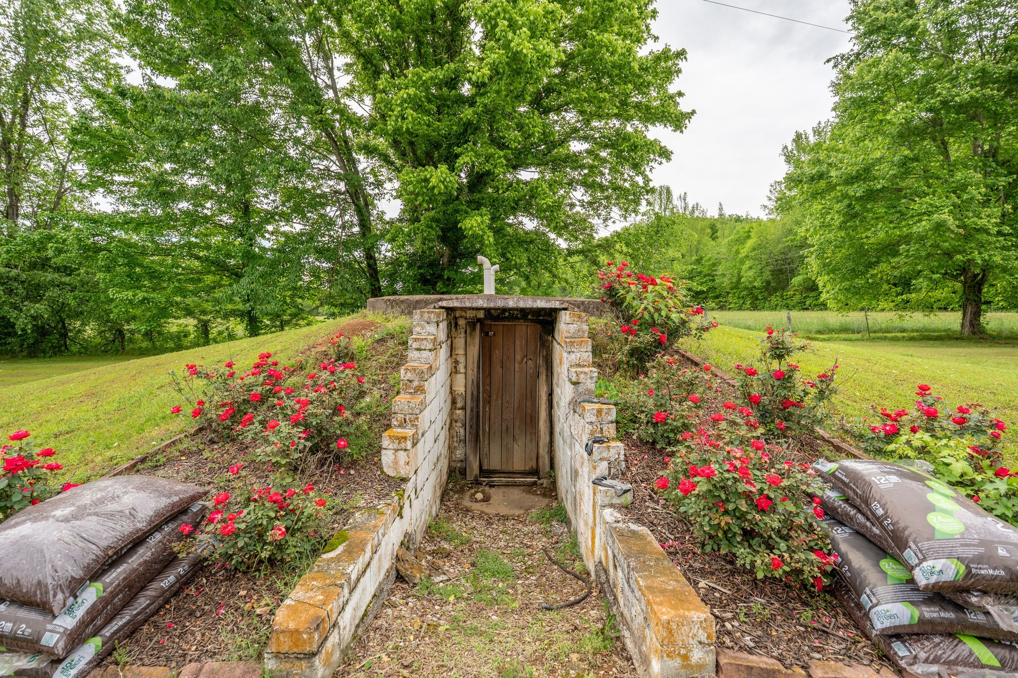 8276 Middle Butler Road Iron City, TN 38463 - Photo 6 of 27 a view of a flower in a garden with wooden fence