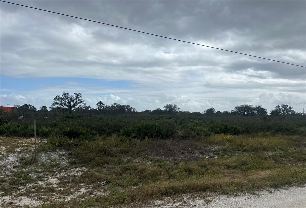 711 South Landry Road Avon Park, FL 33825 - Photo 10 of 11 Gallery Image 10