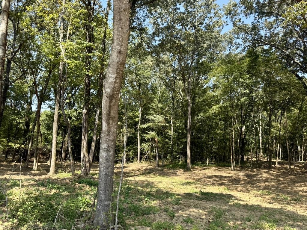 25 Bell Grove Road Eads, TN 38028 - Photo 12 of 17 a view of a yard with plants and trees