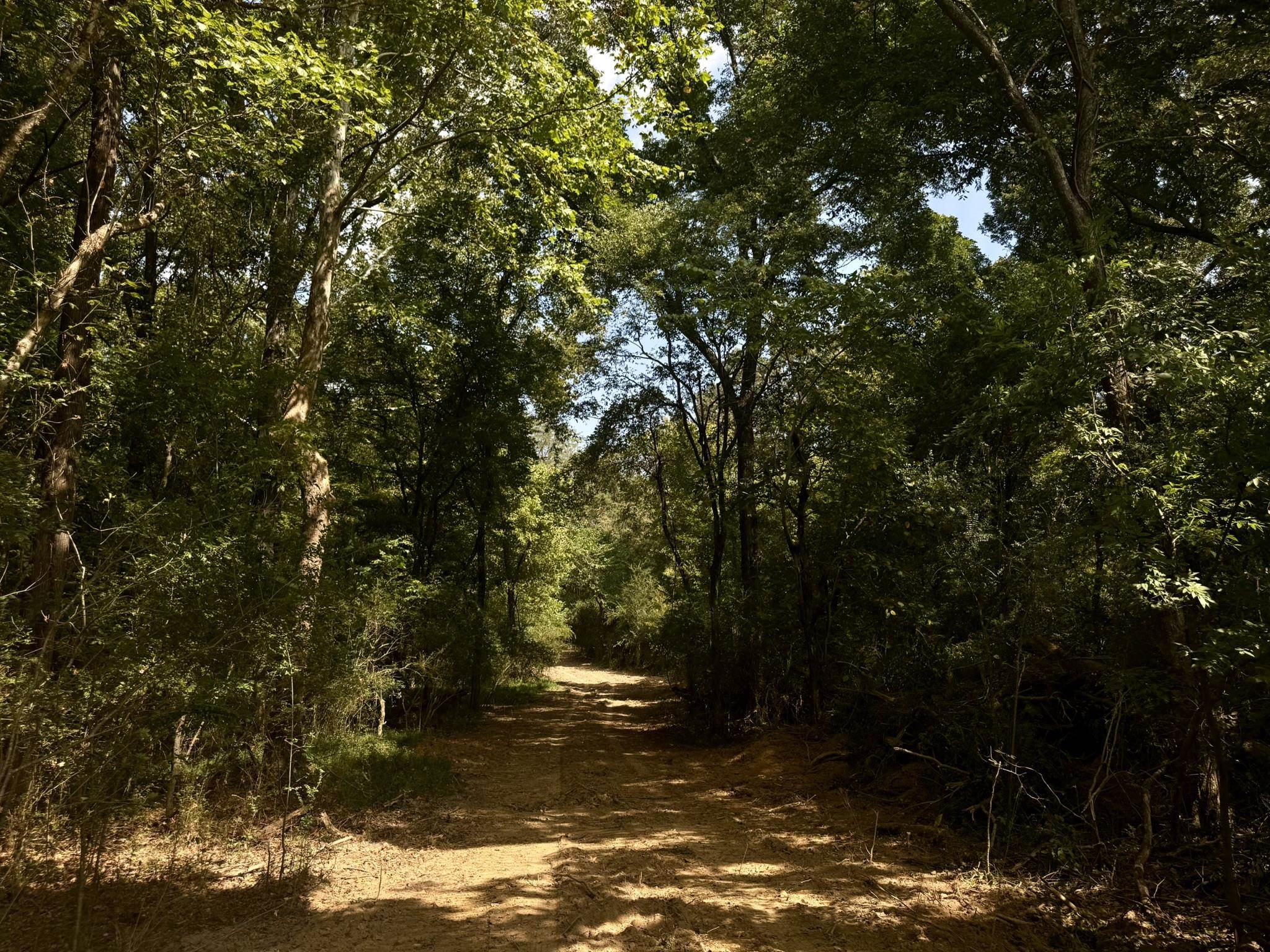 25 Bell Grove Road Eads, TN 38028 - Photo 15 of 17 a view of a lake view