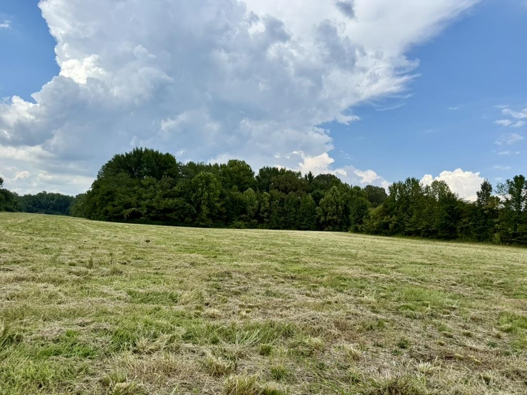 25 Bell Grove Road Eads, TN 38028 - Photo 16 of 17 a view of an outdoor space and a yard