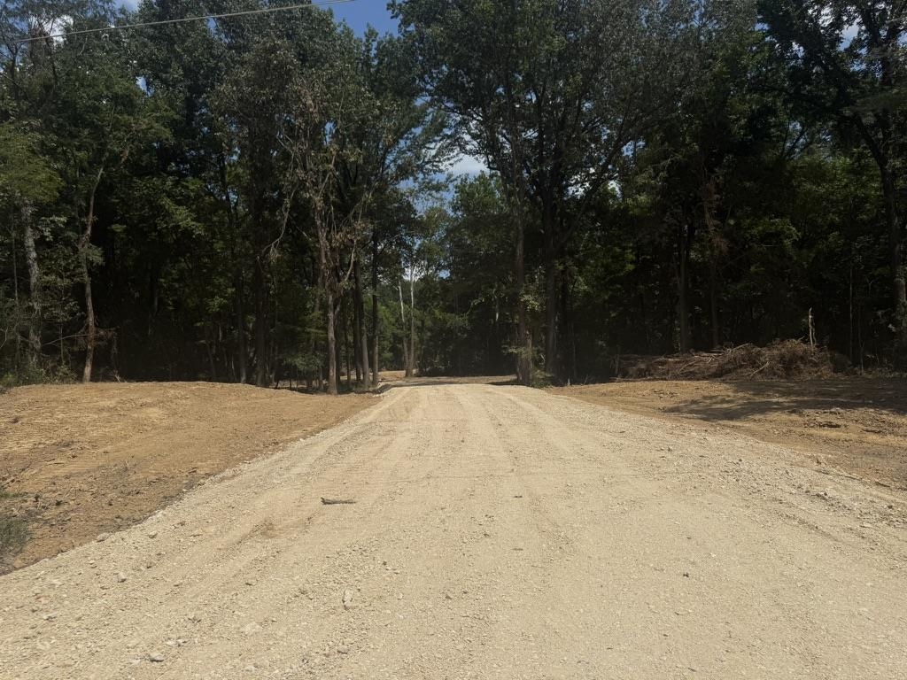 25 Bell Grove Road Eads, TN 38028 - Photo 17 of 17