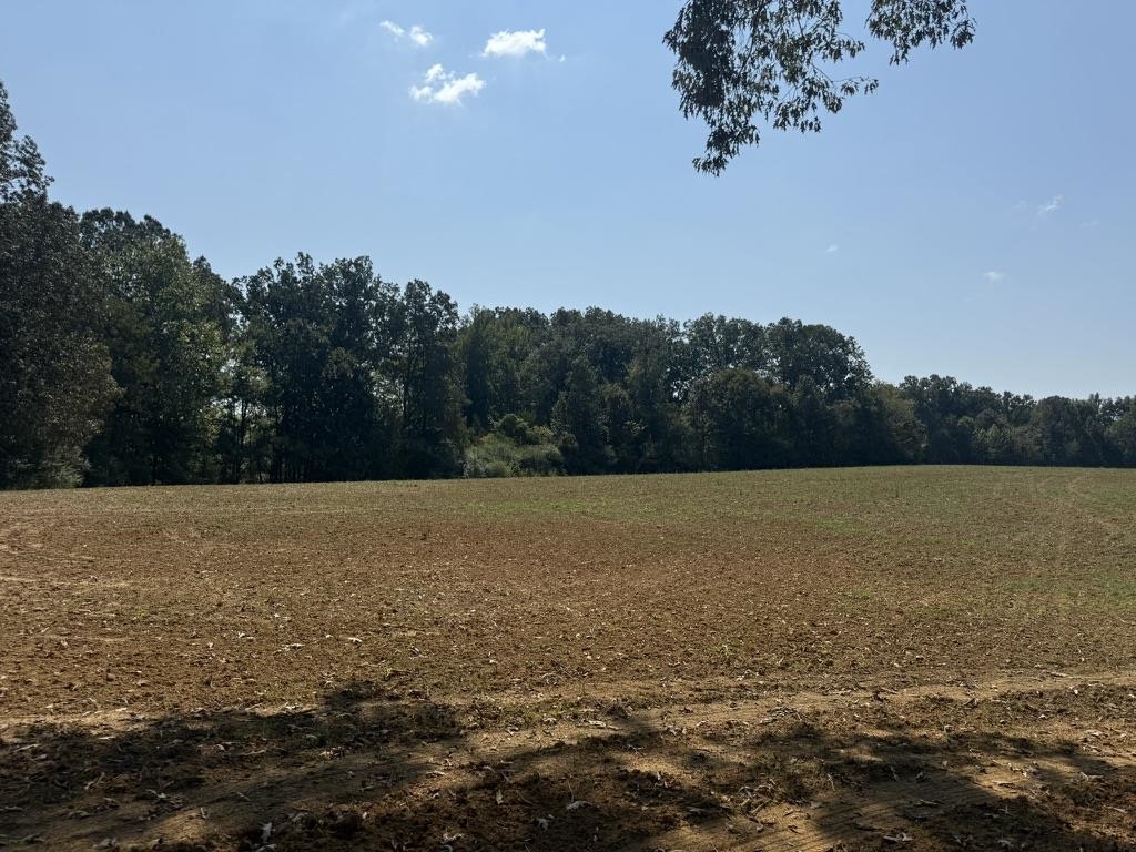 25 Bell Grove Road Eads, TN 38028 - Photo 2 of 17 a view of an ocean and a mountain