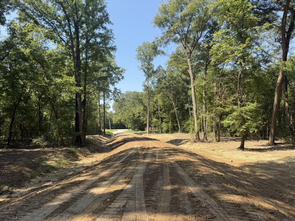 25 Bell Grove Road Eads, TN 38028 - Photo 4 of 17 a view of a yard with basketball court