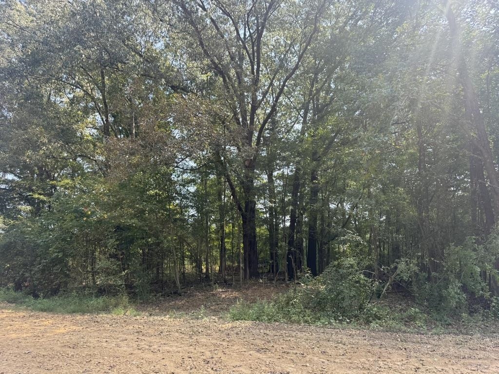 25 Bell Grove Road Eads, TN 38028 - Photo 6 of 17 a view of a forest filled with trees