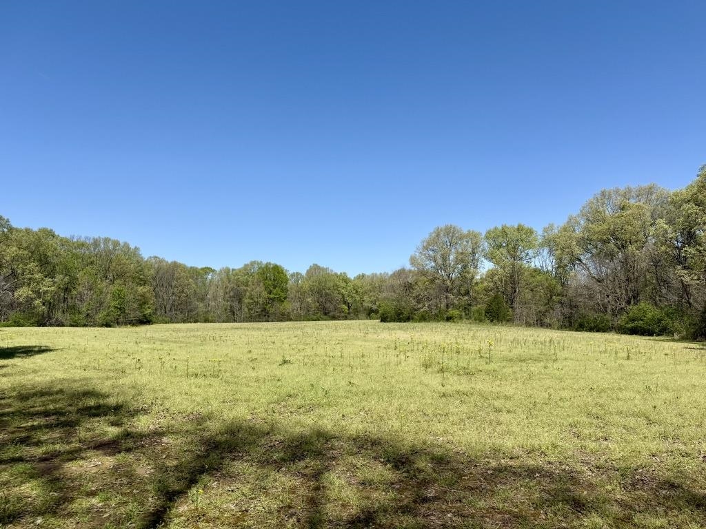 25 Bell Grove Road Eads, TN 38028 - Photo 9 of 17 a view of a field with an ocean