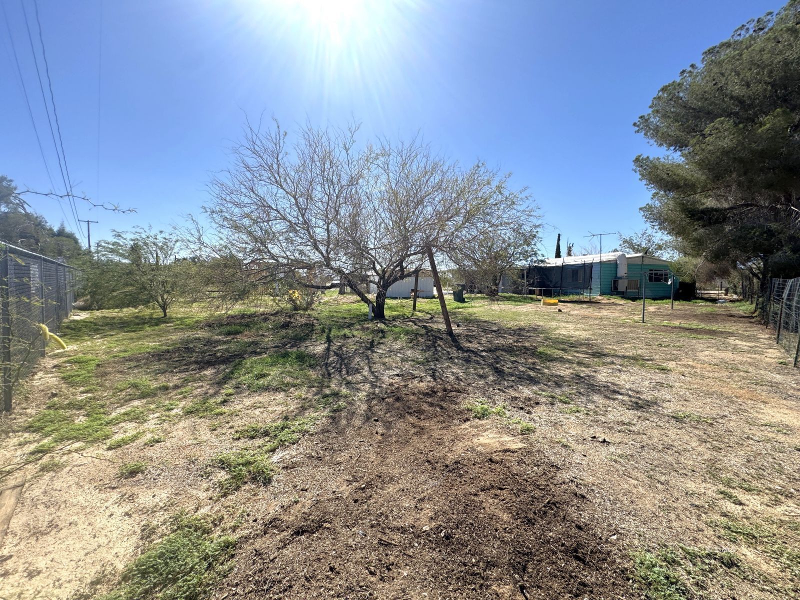 1320 South Brady Street Ridgecrest, CA 93555 - Photo 22 of 29 a view of dirt yard with a tree