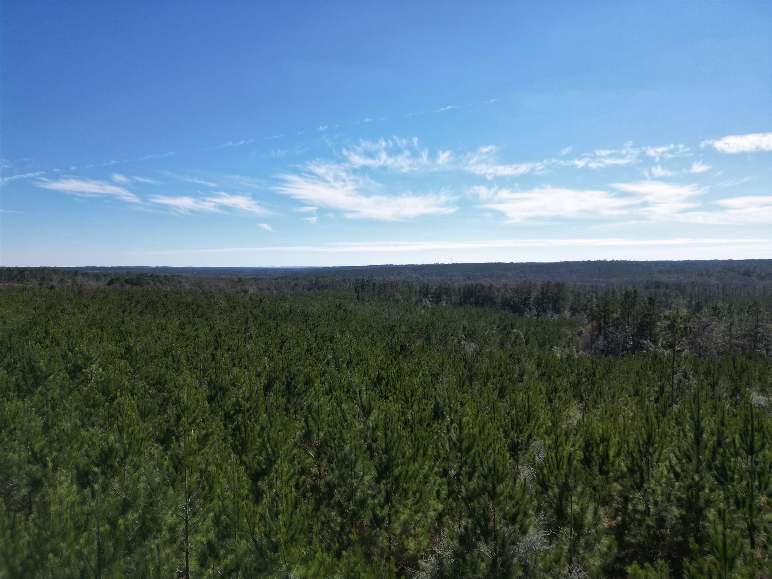 Lot 5 Robinsonville Road Atmore, AL 36502 - Photo 17 of 18