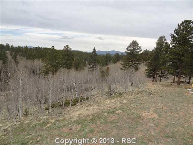 4265 Cedar Mountain Road Divide, CO 80814 - Photo 24 of 24 Gallery Image 24
