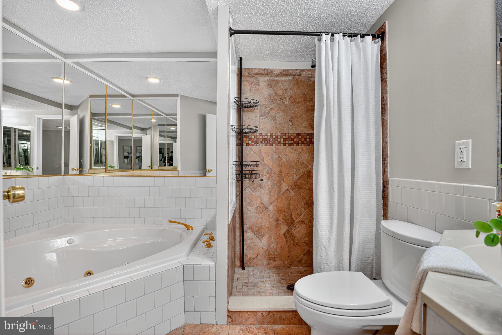 8763 Cold Plain Court Springfield, VA 22153 - Photo 55 of 132 Luxurious Primary Bathroom!