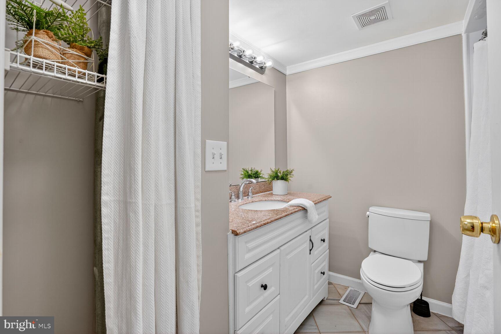 8763 Cold Plain Court Springfield, VA 22153 - Photo 76 of 132 Spacious 2nd Full Bathroom on Upper Level!