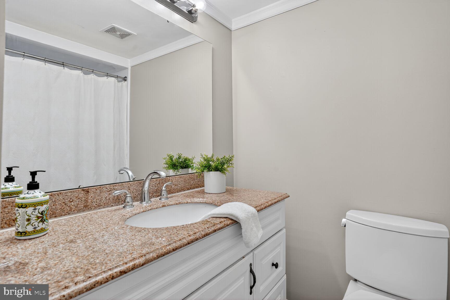 8763 Cold Plain Court Springfield, VA 22153 - Photo 78 of 132 Single Sink Vanity with Extended Countertop!