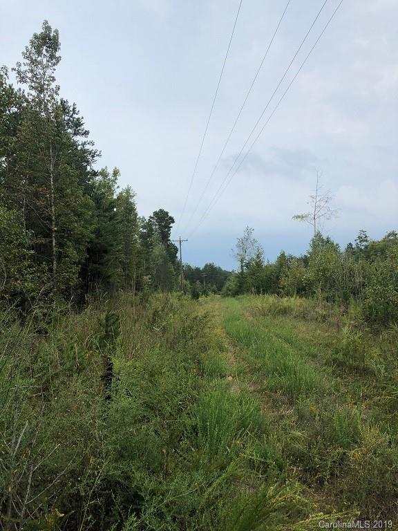 0 Randleman Road Iron Station, NC 28080 - Photo 12 of 14 Gallery Image 12