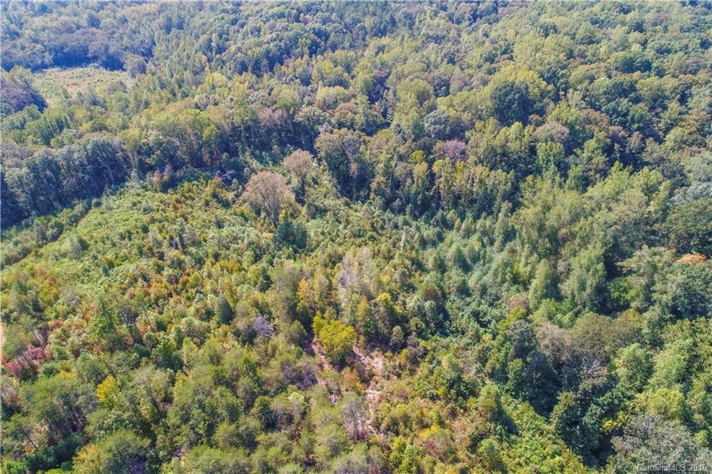 0 Randleman Road Iron Station, NC 28080 - Photo 6 of 14 Gallery Image 6
