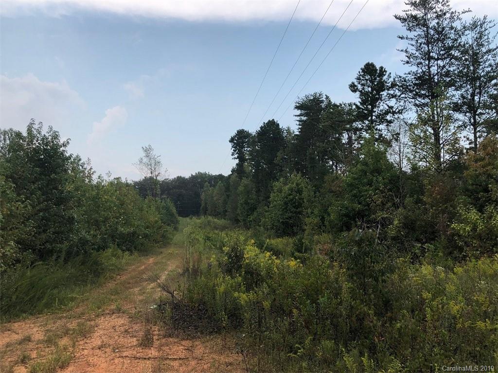 0 Randleman Road Iron Station, NC 28080 - Photo 9 of 14 Gallery Image 9