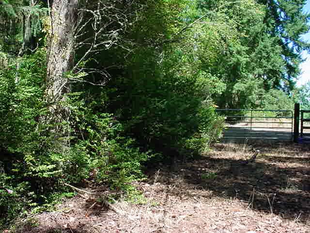 17930 Roberts Road Northwest Vaughn, WA 98394 - Photo 13 of 14