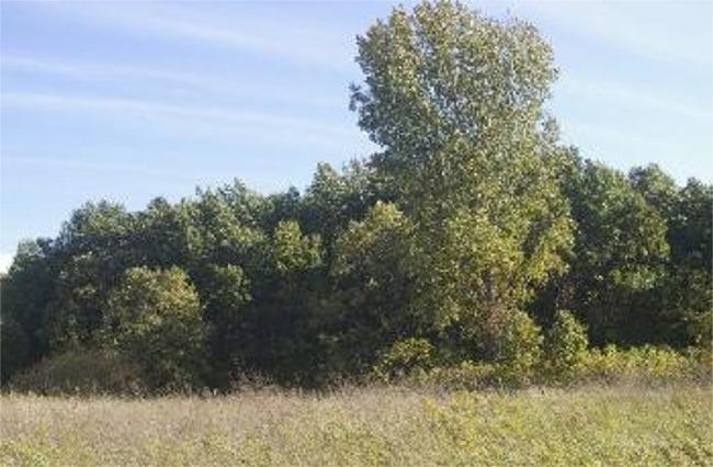 0 East State Line Road Clinton, WI 53525 - Photo 1 of 1 1110300A