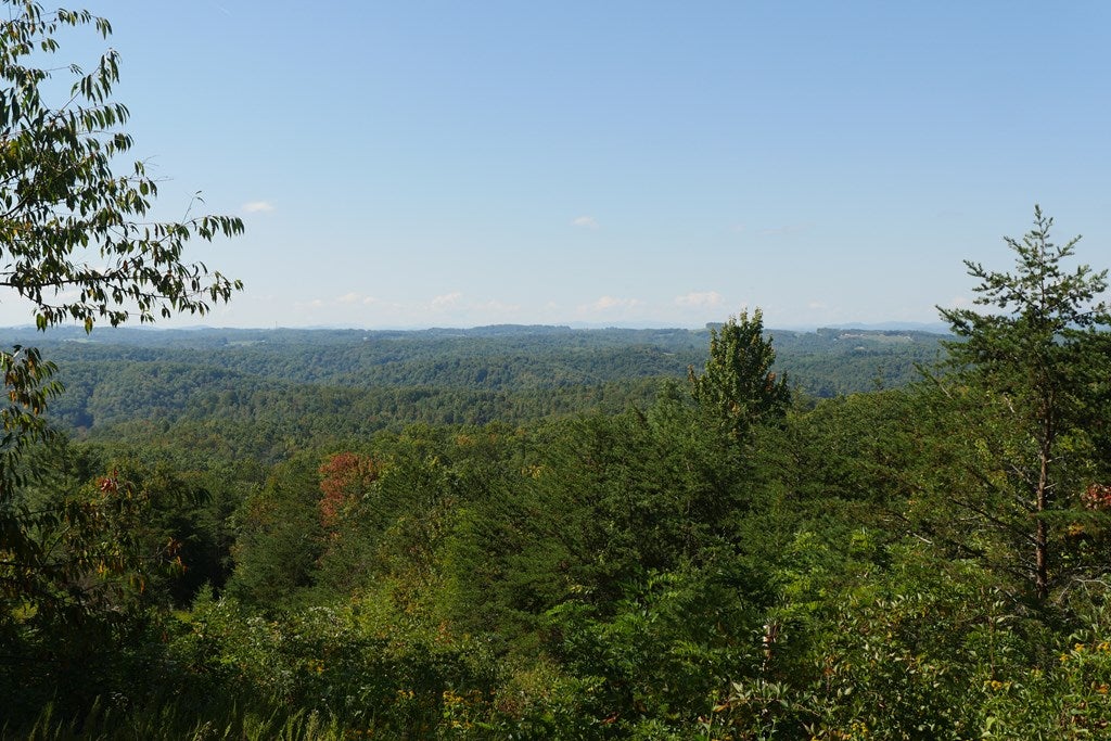 Tbd Hall Hollow Road, Unit 1 Austinville, VA 24312 - Photo 76 of 76 Gallery Image 76