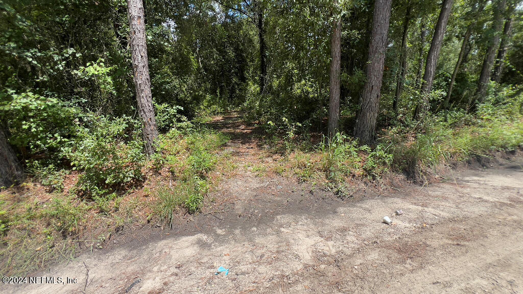 37 Orbey Rhoden Road Glen St. Mary, FL 32040 - Photo 21 of 25 20
