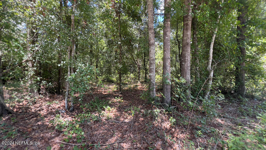 37 Orbey Rhoden Road Glen St. Mary, FL 32040 - Photo 23 of 25 22