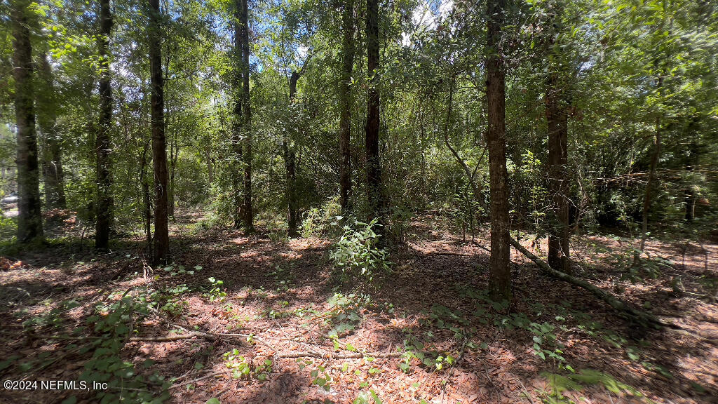 37 Orbey Rhoden Road Glen St. Mary, FL 32040 - Photo 24 of 25 23