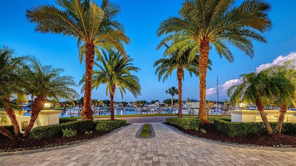 313 Lookout Point Drive Osprey, FL 34229 - Photo 14 of 100 a view of outdoor space with palm trees
