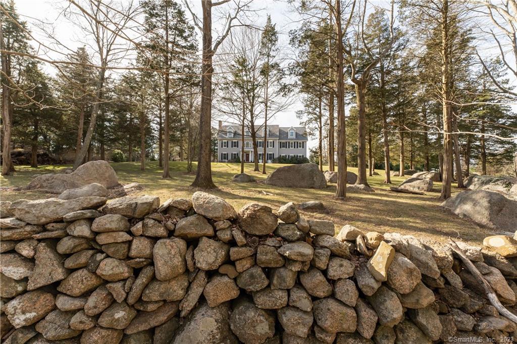 a view of a yard with yellow trees