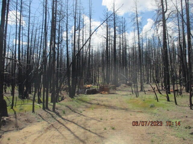 Lot - Black Pine Road Bly, OR 97622 - Photo 2 of 12 IMG_1669