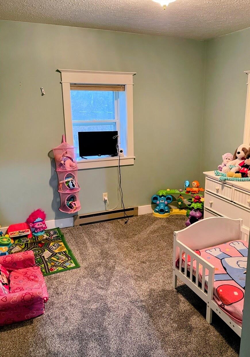 2311 East Glendora Road Buchanan, MI 49107 - Photo 12 of 29 IMG_3620