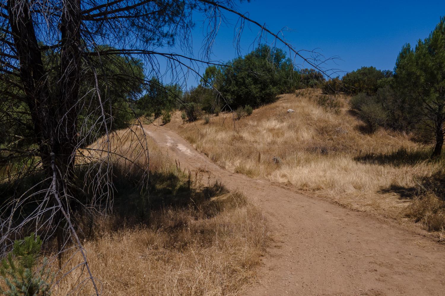 0 Stony Creek Road Ione, CA 95640 - Photo 40 of 70