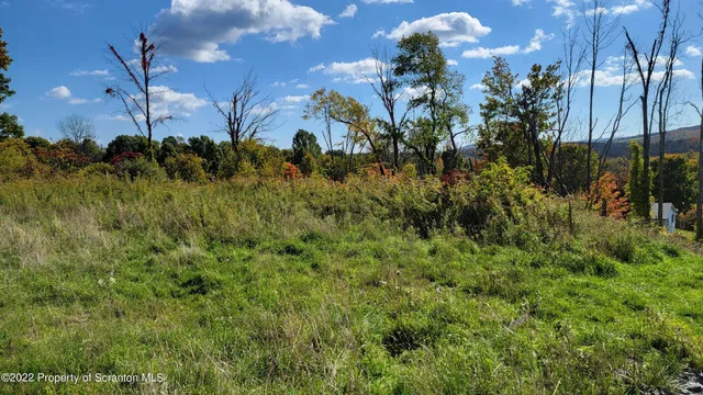a view of a street with a tree in the background
