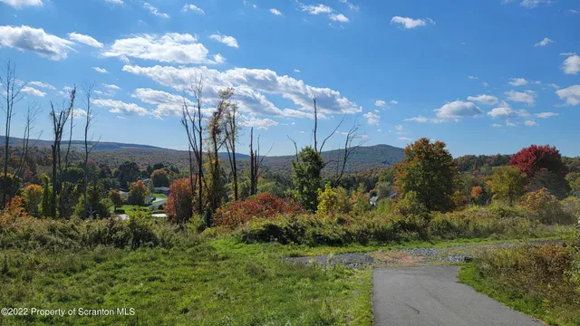 a view of a park with large trees